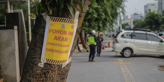 Giliran Pohon-Pohon di Kramat Raya Terancam Ditebang