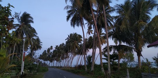 Menanam 5 Pohon Tiap Tahun Demi Melestarikan Hutan di Kalimantan Timur