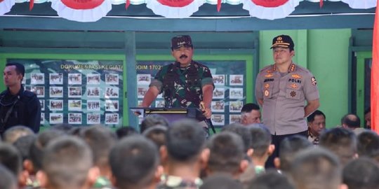 Istana: Wakil Panglima TNI untuk Tugas Khusus dan Prioritas