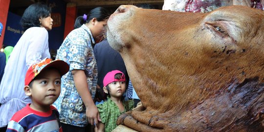 Harga Daging Ayam dan Sapi Stabil di Pekan Kedua November 2019