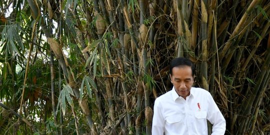 kritik impor cangkul rev1
