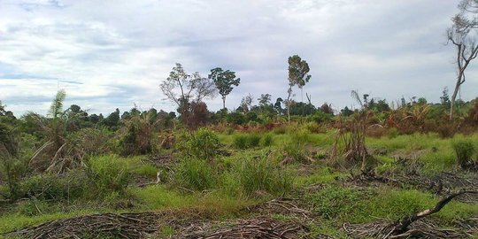 kota bogor bima arya rev1