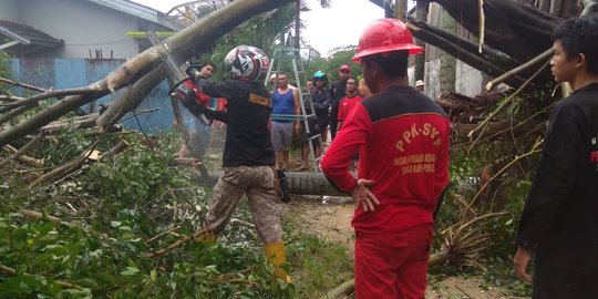 Cuaca Buruk di Samarinda Sebabkan Pohon Tumbang dan Gangguan Penerbangan