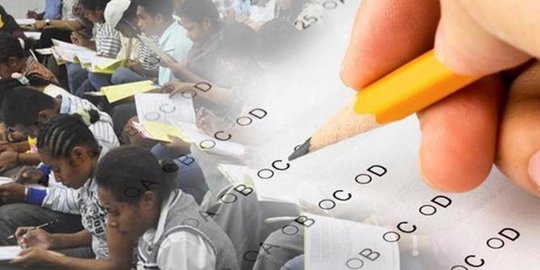 BKN Keluhkan Lowongan CPNS Daerah Pelosok Sepi Peminat
