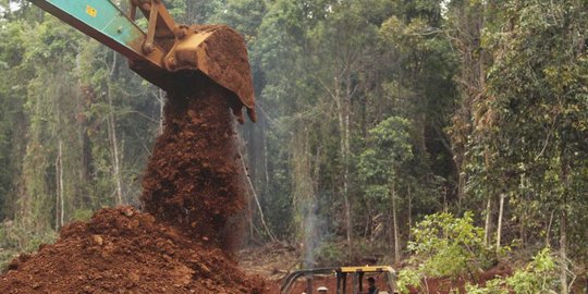 sipil minta kegiatan tambang nikel di pulau wawonii dihentikan