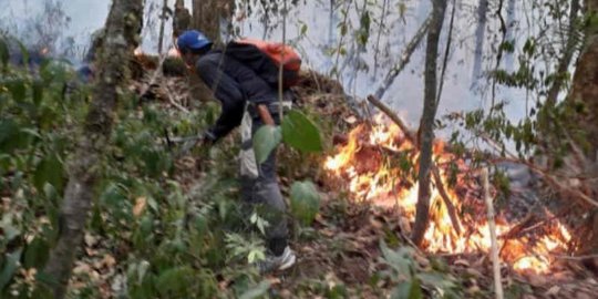 Polisi Tetapkan Dua Tersangka Kasus Kebakaran Hutan di Pegunungan Ijen