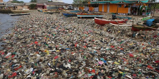 Ketika 693 Biota Laut Makin Terancam Konsumsi Sampah Plastik di 