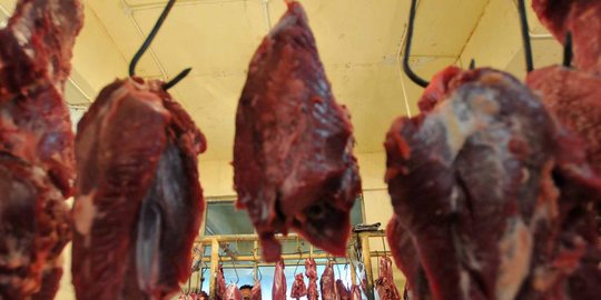 beberkan alasan impor daging sapi dari brasil dibatalkan rev2