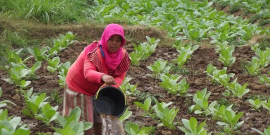 Sektor Industri Harus Dilibatkan dalam Revisi Aturan Produk Tembakau