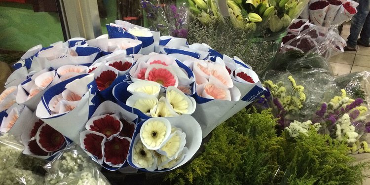 7 Karakter Bunga Hasil Tes Kepribadian Forest Yang Ramai Di Media Sosial Merdeka Com