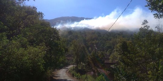 Hutan Sisi Timur Gunung Lawu Terbakar, Api Meluas Karena Angin Kencang