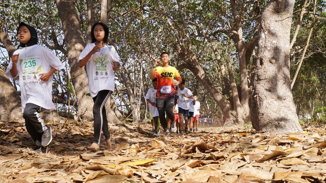 serunya berlari di tengah kawasan geopark alas purwo banyuwangi