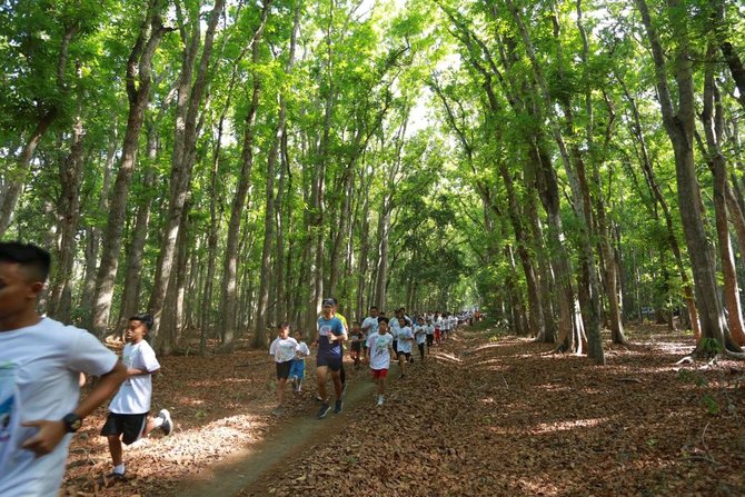 serunya berlari di tengah kawasan geopark alas purwo banyuwangi