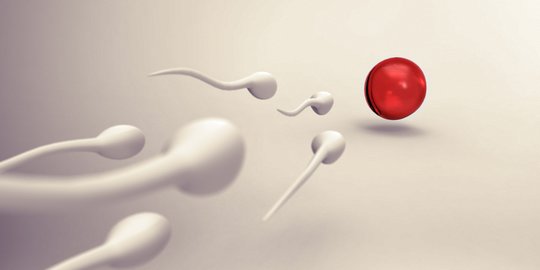 8 Nutrisi yang Bisa Membantu Meningkatkan Jumlah Sperma dengan Luar Biasa