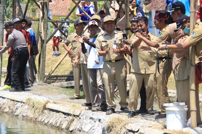 penebaran bibit ikan di kampung pinggir kanal banyuwangi