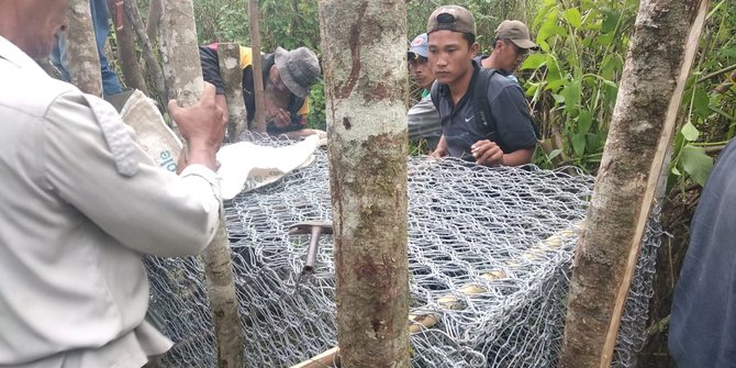 Cegah Teror Harimau Sumatera, Warga dan BKSDA Pasang Perangkap Sementara
