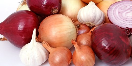 putih dan bawang merah rev2