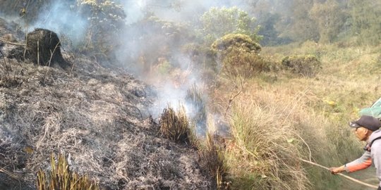 Intensitas Hujan Rendah, Tiga Titik Panas Muncul di Ibu Kota Baru Indonesia