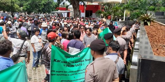Belum Gajian Gara-gara Perusahaan Diblokir, Pegawai Palma Satu Kembali Demo di KPK