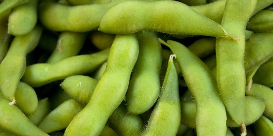 8 makanan yang bisa bantu kamu terjaga walau ngantuk melanda