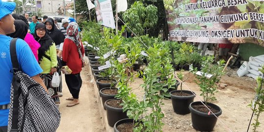 Daerah Aliran Sungai Ciliwung Ditanami Tanaman Obat dan Sayuran