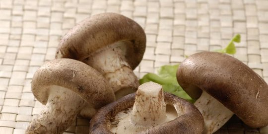 8 makanan lezat untuk diet, hampir bebas kalori
