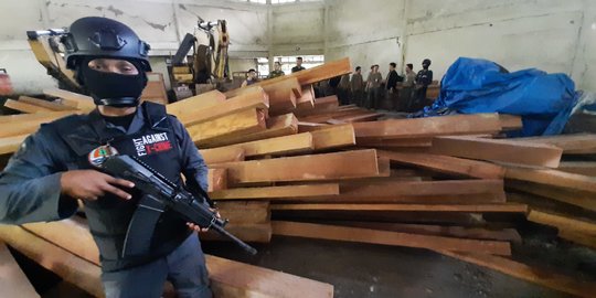 KLHK Sita 1.300 Meter Kubik Kayu Hasil Illegal Logging di Hutan Kaltim