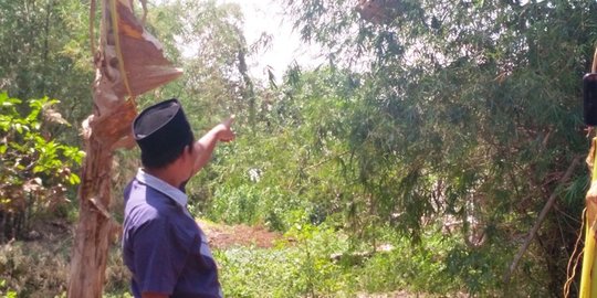 Petani di Tuban Tewas Diserbu Ratusan Lebah, di Tubuhnya ada 180 Sengatan