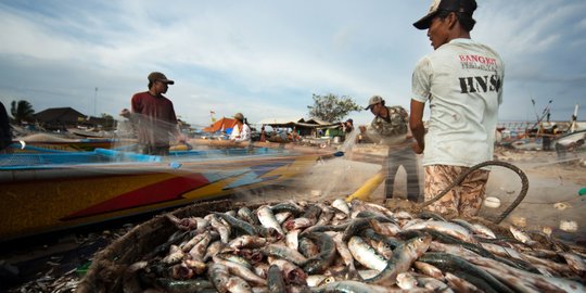 Kejar Target Konsumsi Ikan Nasional, BUMN Perindo Gaet Generasi Milenial