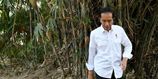 Presiden Jokowi: Ada yang Senang Impor, Saya Akan Ganggu