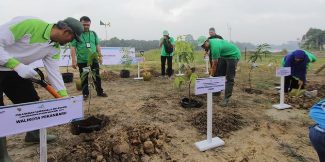 https://cdns.klimg.com/merdeka.com/i/w/news/2019/11/29/1129769/670x335/ribuan-tanaman-produktif-dan-pohon-pelindung-ditanam-di-pekanbaru.jpg