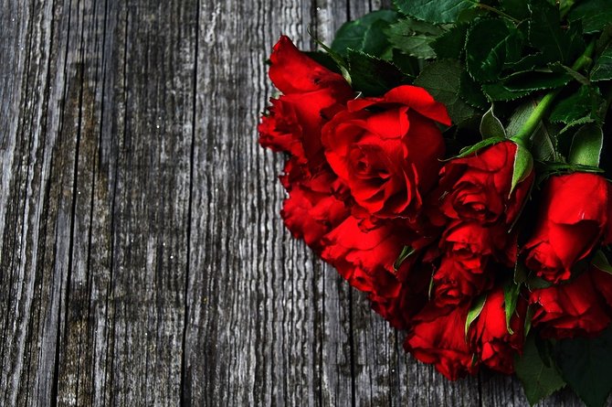 Mau Kasih Bunga Mawar Kepada Si Dia Kenali Arti 6 Warnanya