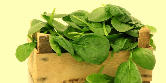 8 Cara Menaikkan Trombosit Secara Alami Saat Demam Berdarah Menyerang Merdeka Com