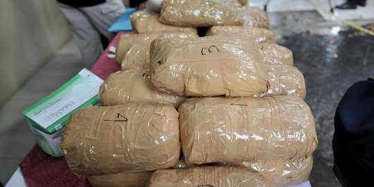 Polisi Sita 80 Kg Ganja Siap Edar untuk Karyawan dan Buruh di Karawang