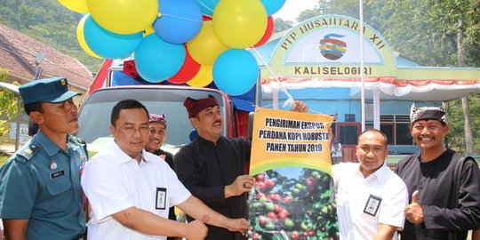 Banyuwangi Kembali Ekspor Kopi Robusta, Rambah Italia sampai Inggris