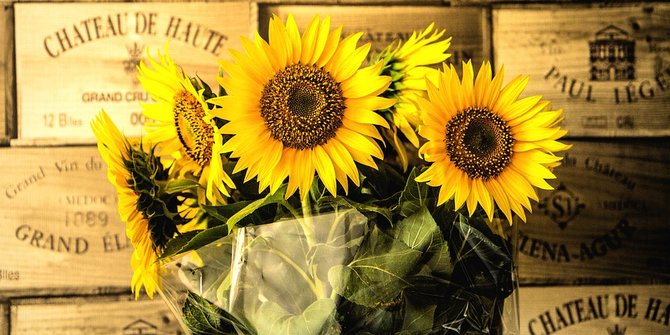 Mau Berikan Karangan Bunga Matahari Ini Arti Di Baliknya