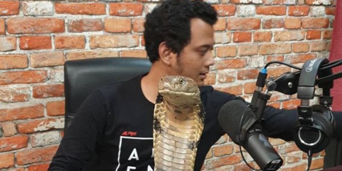 Panji Ungkap Trik Bisa Bikin Tenang Raja Ular Kobra Raksasa