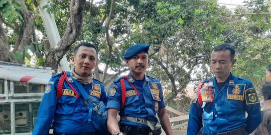 sisa telur ular sudah menetas rev1