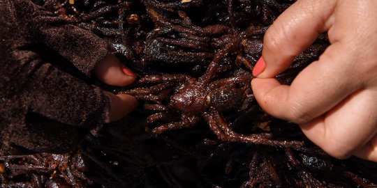 Mencicipi Tarantula Goreng yang Populer di Kamboja