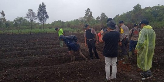 Mengaku Lihat Harimau, 6 Petani di Pagaralam Minta Dievakuasi dari Kebun