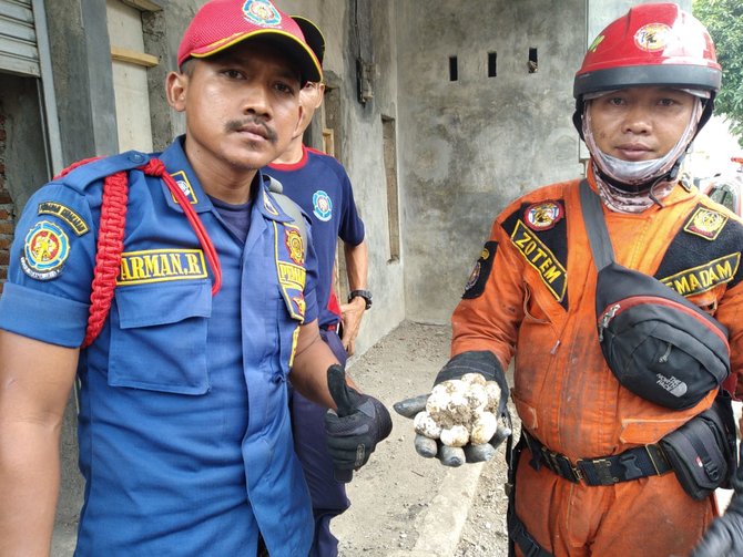 rumah di cibinong diduga jadi sarang ular kobra