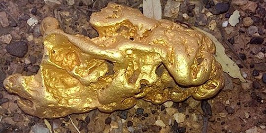 Pecah Rekor, Bongkahan Emas Senilai Rp1,45 Miliar Ditemukan Pemburu Harta Karun