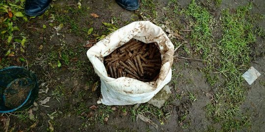 870 Butir Peluru Ditimbun dalam Tanah di Langkat