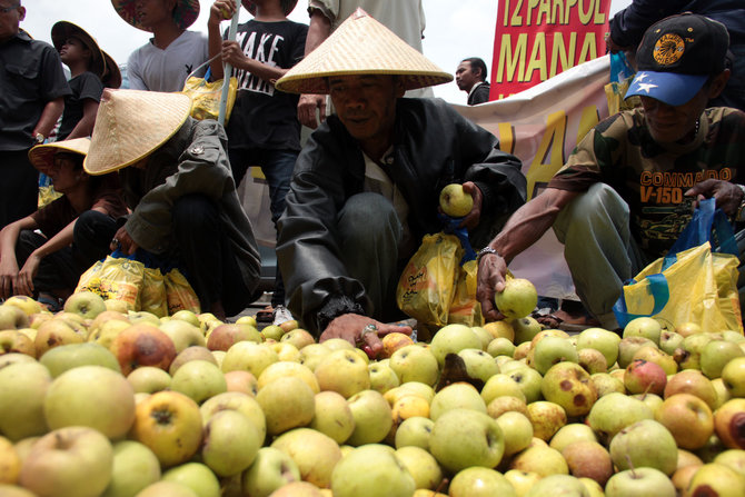 demo petani apel malang di kemendag
