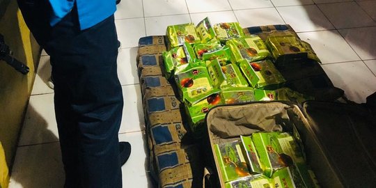 BNN Tangkap Tukang Becak di Medan Simpan Puluhan Kilogram Sabu