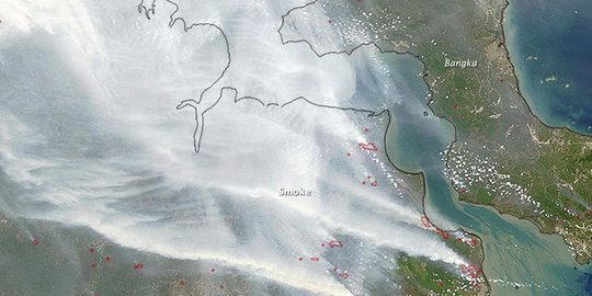 Terparah Sejak 2015, Kerugian Kebakaran Hutan Indonesia 2019 Tembus Rp72,95 Miliar