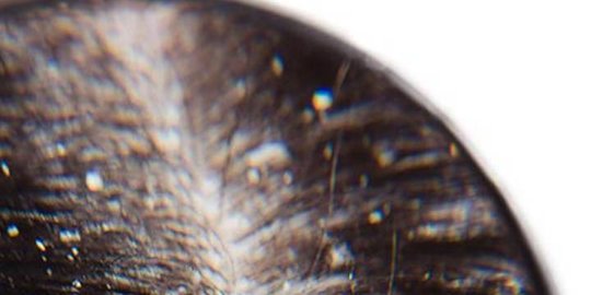 bisa turunkan kolesterol, ini 7 manfaat jeruk nipis bagi kesehatan