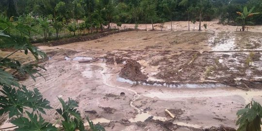 Sembilan Rumah Warga di Sumbar Hanyut Dihantam Arus Sungai Batang Suliti