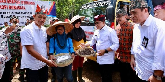 Kebun 'Kopi Lanang' Banyuwangi Kembali Ekspor Robusta ke Italia