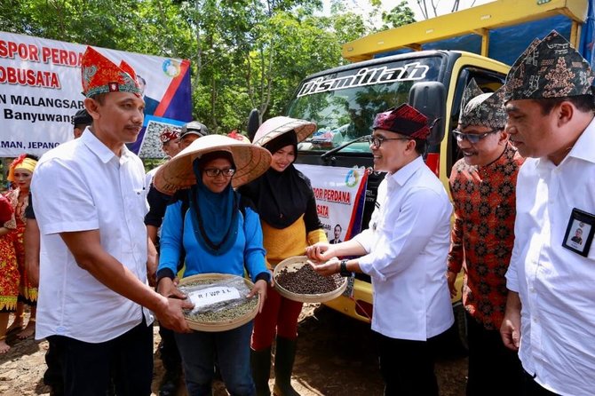 kebun 039kopi lanang039 banyuwangi kembali ekspor robusta ke italia